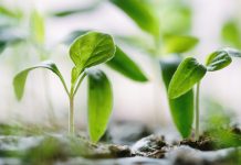 How AI is closing the private markets sustainability data gap AI