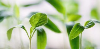 How AI is closing the private markets sustainability data gap AI