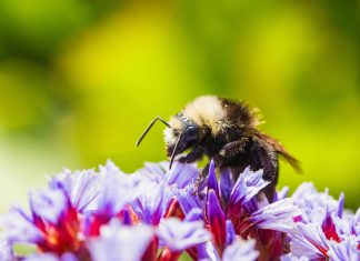 PensionBee backs FCA move to regulate ESG ratings PensionBee has welcomed the Financial Conduct Authority’s (FCA) plans to introduce regulation for ESG ratings providers, calling the move a long-overdue step toward greater transparency and accountability.