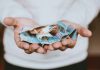 Cleo Labs raises €1.5m to scale AI compliance platform Cleo