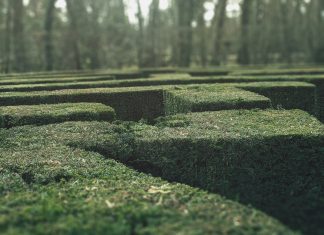 Inside the push to centralise compliance oversight For more than three centuries, visitors to the maze at Hampton Court Palace have tested their sense of direction among its tall hedges. Built in the late 17th century, the maze’s trapezoidal design looks straightforward on paper. Yet once inside, its looping paths quickly become disorientating. Turn after turn looks familiar. Progress becomes guesswork. Modern compliance systems often produce a similar experience.