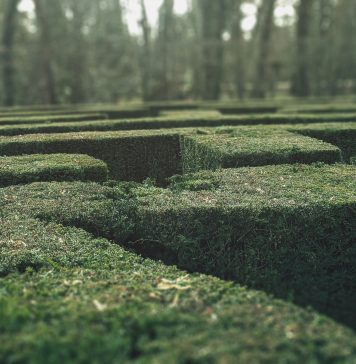 Inside the push to centralise compliance oversight For more than three centuries, visitors to the maze at Hampton Court Palace have tested their sense of direction among its tall hedges. Built in the late 17th century, the maze’s trapezoidal design looks straightforward on paper. Yet once inside, its looping paths quickly become disorientating. Turn after turn looks familiar. Progress becomes guesswork. Modern compliance systems often produce a similar experience.