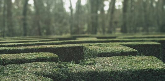 Inside the push to centralise compliance oversight For more than three centuries, visitors to the maze at Hampton Court Palace have tested their sense of direction among its tall hedges. Built in the late 17th century, the maze’s trapezoidal design looks straightforward on paper. Yet once inside, its looping paths quickly become disorientating. Turn after turn looks familiar. Progress becomes guesswork. Modern compliance systems often produce a similar experience.