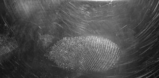 Fingerprint launches AI-enhanced Suspect Score tool Fingerprint
