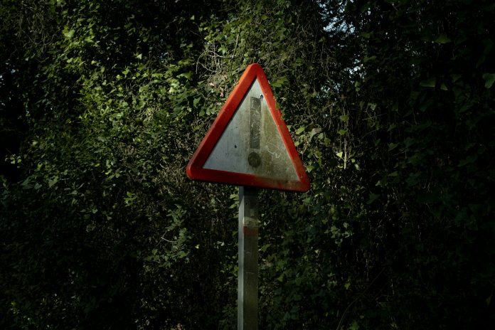 laura-espana-rXAIVZ_i35E-unsplash (1) IDV