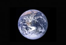 AI for AML: Who’s ahead and who’s catching up? AI for AML: Who's ahead and who's catching up?