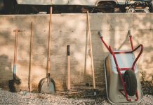 Who profits from the AI rush? The shovel sellers AI