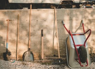 Who profits from the AI rush? The shovel sellers AI