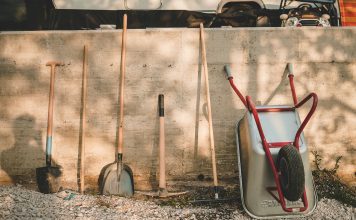 Who profits from the AI rush? The shovel sellers AI