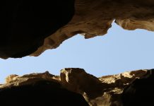 How automated horizon scanning closes the compliance gap compliance