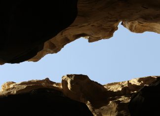 How automated horizon scanning closes the compliance gap compliance