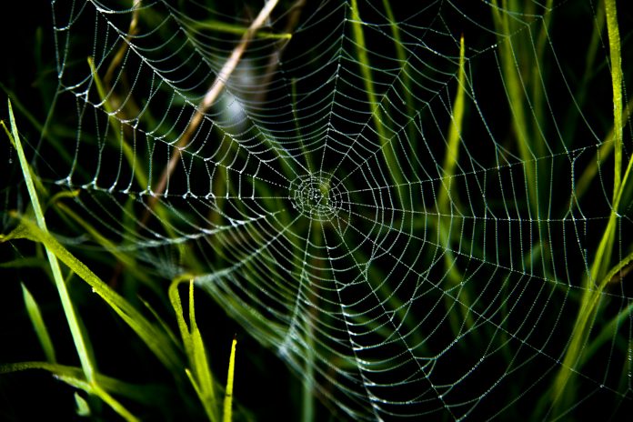 nick-fewings-Z2yXfJEu5rI-unsplash AML