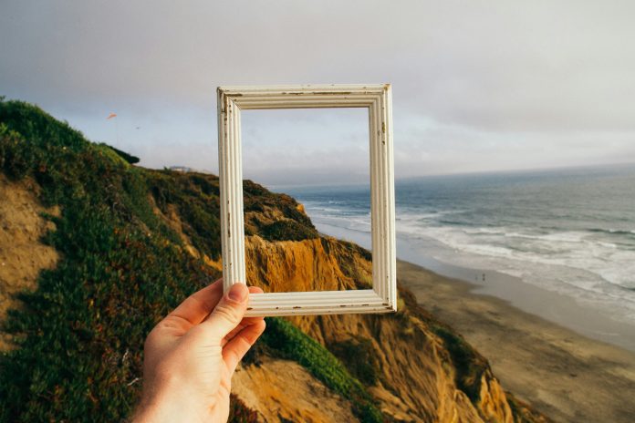 pine-watt-3_Xwxya43hE-unsplash Frame