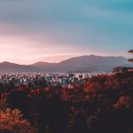 Zeidler’s MMR-Tool adds Japan amid tightening fund rules Zeidler's MMR-Tool adds Japan amid tightening fund rules