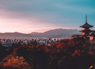 Zeidler’s MMR-Tool adds Japan amid tightening fund rules Zeidler's MMR-Tool adds Japan amid tightening fund rules