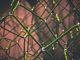Greenboard CEO: patchwork compliance tools are holding firms back