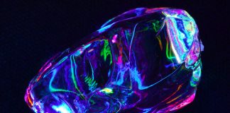 Opal Security raises $23m to govern AI agent access Opal
