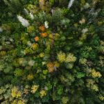 FCA simplifies climate reporting for asset managers FCA