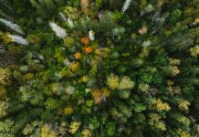 FCA simplifies climate reporting for asset managers FCA