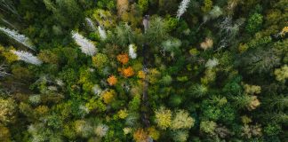 FCA simplifies climate reporting for asset managers FCA