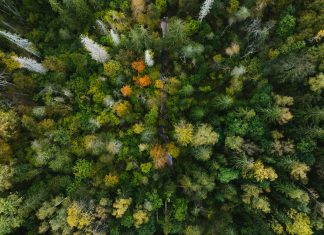 FCA simplifies climate reporting for asset managers FCA