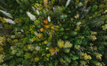 FCA simplifies climate reporting for asset managers FCA