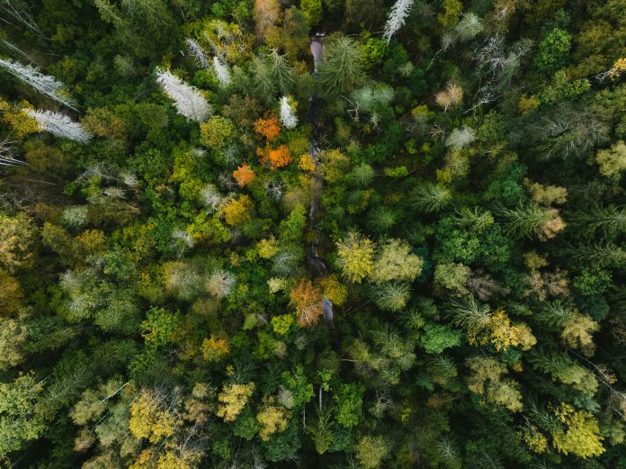 kristaps-ungurs-owcJsiIK7UU-unsplash FCA