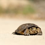 Why legacy surveillance tools are failing compliance teams Compliance teams at financial institutions are buckling under the weight of outdated surveillance systems, and a new survey by A-Team Group suggests the breaking point has arrived.