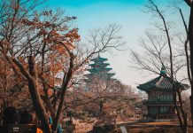 Korea’s FSS targets executives in consumer protection push FSS