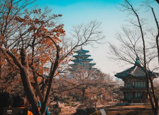 Korea’s FSS targets executives in consumer protection push FSS