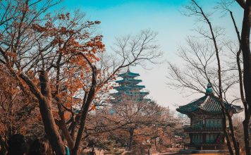 Korea’s FSS targets executives in consumer protection push FSS
