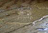 The $304bn compliance bill hiding a growth leak compliance