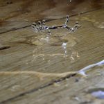 The $304bn compliance bill hiding a growth leak compliance