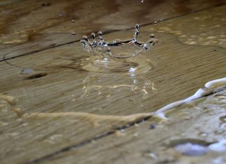The $304bn compliance bill hiding a growth leak compliance