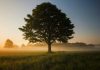 Oak exits stealth with $60m to rebuild identity security Oak