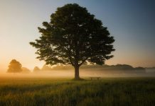 Oak exits stealth with $60m to rebuild identity security Oak