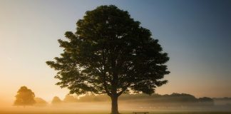 Oak exits stealth with $60m to rebuild identity security Oak