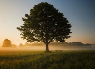 Oak exits stealth with $60m to rebuild identity security Oak