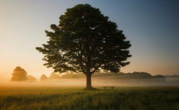 Oak exits stealth with $60m to rebuild identity security Oak