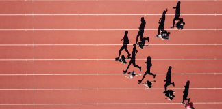 Which sector is winning the compliance race? compliance