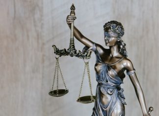 Delaware and Norm Ai move to give AI agents legal form Delaware and Norm Ai move to give AI agents legal form