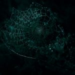The confidence trap in financial crime risk assessments risks