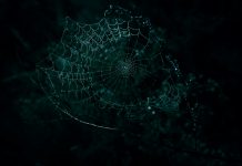 The confidence trap in financial crime risk assessments risks