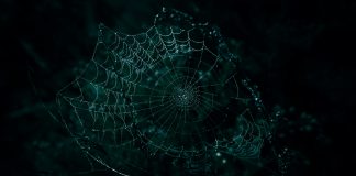 The confidence trap in financial crime risk assessments risks