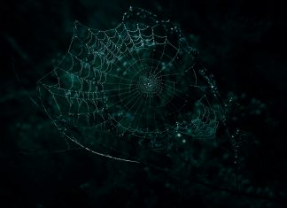 The confidence trap in financial crime risk assessments risks
