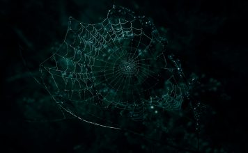 The confidence trap in financial crime risk assessments risks