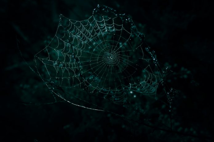 wyxina-tresse-psEIBanBUsA-unsplash risks