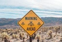 FinregE warns FCA reporting changes could expose data risks FinregE warns FCA reporting changes could expose data risks