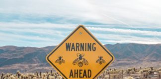 FinregE warns FCA reporting changes could expose data risks FinregE warns FCA reporting changes could expose data risks