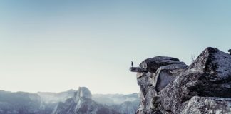 Can firms trust AI with risk decisions? Can firms trust AI with risk decisions?